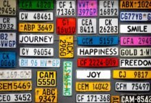 autonomous number license plate