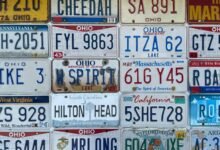 state plate number insights