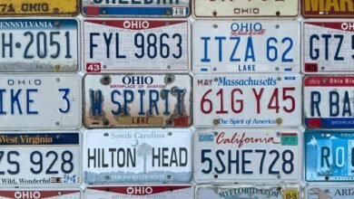 state plate number insights