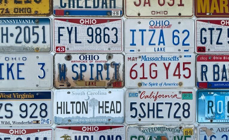 state plate number insights