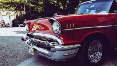 stunning automobile license plates