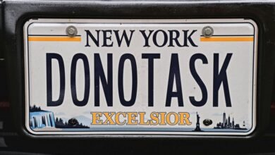 vehicle license plate number