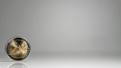best bonds for income