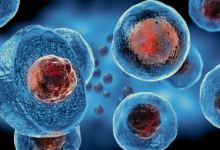 The Evolution of Cell Line Development and Its Impact on Biotechnology