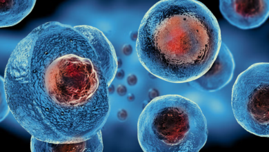 The Evolution of Cell Line Development and Its Impact on Biotechnology