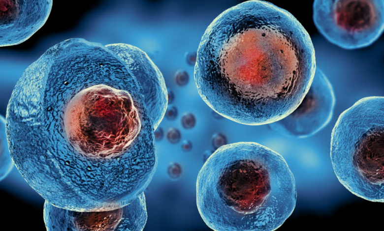 The Evolution of Cell Line Development and Its Impact on Biotechnology