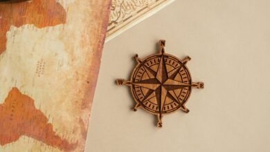 oxax tv overview guide