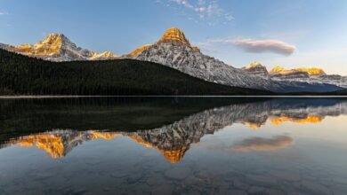 p2p explorers comprehensive guide