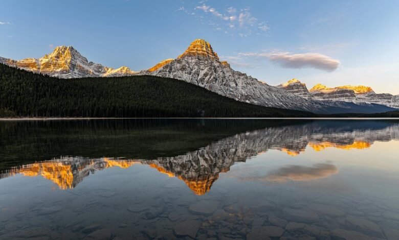 p2p explorers comprehensive guide