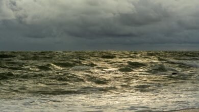 horizon surge strategic path