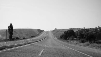 infinity surge market lane