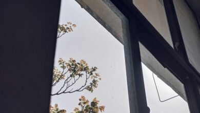 intelligent growth competitive outlook