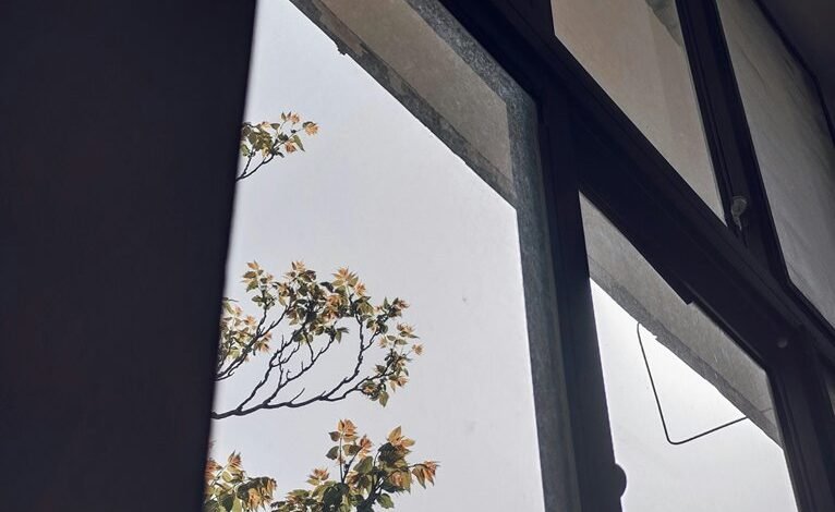 intelligent growth competitive outlook