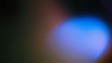 revenue analysis for nova